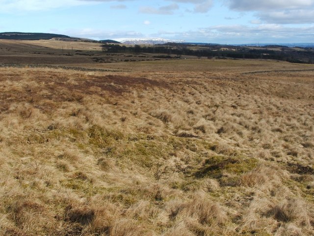 Bomb crater © Lairich Rig cc-by-sa/2.0 :: Geograph Britain and Ireland