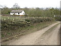 Hedge Maintenance, Lucton