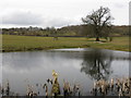 Small Pool, Lucton