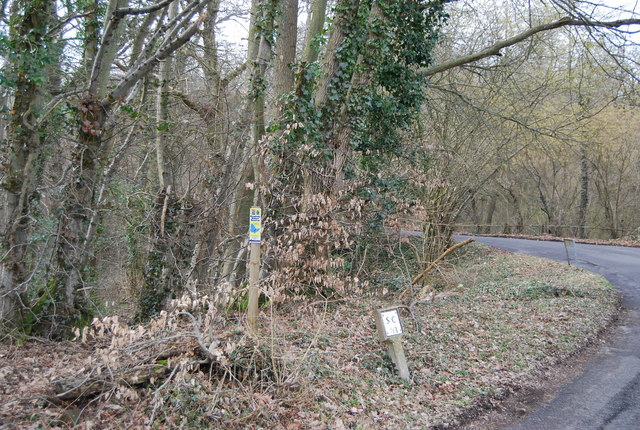 Roadside Nature Reserve, Clay Hill Rd