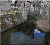 SO4108 : Moat, Raglan Castle by Pauline E
