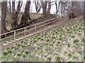 Access footpath by Aberdeen Greenspace