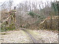 Remains of old railway bridge which crossed Annet Burn