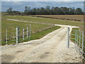 Farm Track off  Southwell Road