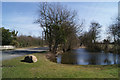 Pond near Home Farm