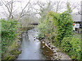 River Erme, Ivybridge