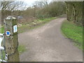 Track, Colwick Country Park