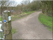 SK6139 : Track, Colwick Country Park by JThomas