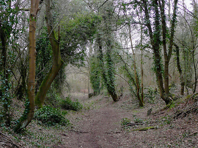 Byway to Drakelow, Worcestershire