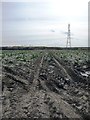 Tracks across a field, off Shop Lane