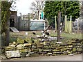 Free range hens, Woodhouse Lane