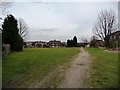 Open space behind the eastern end of Sunnyhill Crescent