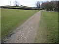 Footpath near Lodge Moor looking towards Bole Hill