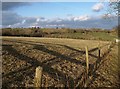 Field near Roselath