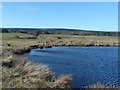 Lochan near Wester Calrichie farm