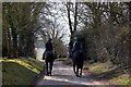 Racehorses exercising on the bridleway