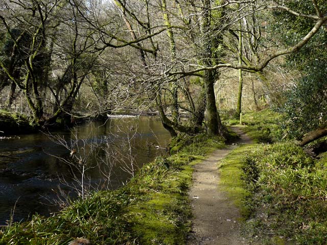 Footpath alongside the Afon Nyfer (2)