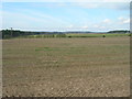 Farmland off  Rigg Lane