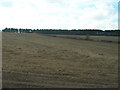 Farmland off Calverton Road