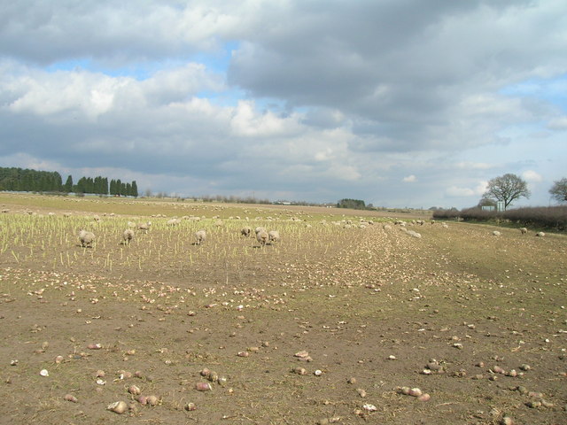 Farmland beside the A614