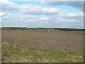 Farmland near Blidworth