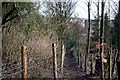 Colne:  Footpath down from Hagg Street