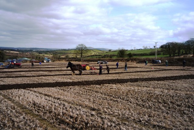 Ploughing with Horses