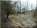 Disused canal, Swift Valley