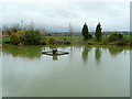 Ornamental pond at Highfield Garden World