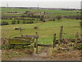 Hanging Heaton Footpath