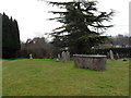 Churchyard of St Giles, Coldwaltham (1)