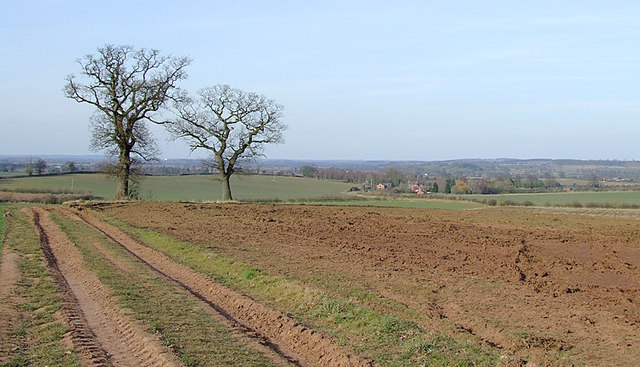 Fields towards Beobridge, Shropshire