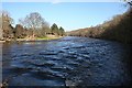 River Deveron