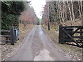 Track leading to Lightwater Cottages