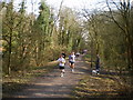 The Rough Park Way in Oilhouse Coppice