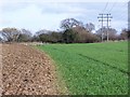 Footpath across fields