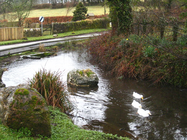 Duck pond in Venterdon
