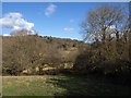 Field above the Wray Brook