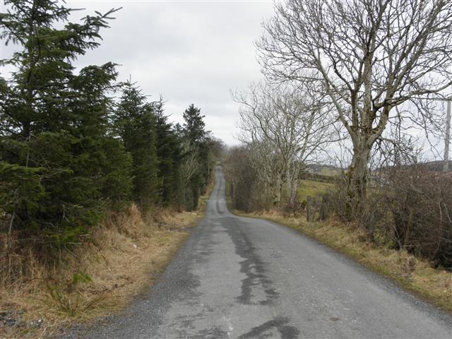 Road at Breen