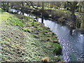 River Stort in Castle Park