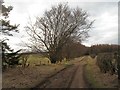 NT7864 : Farm road by Butterdean by Richard Webb