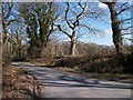 The unclassified road from Chwilog west of the hamlet of Plas Hen