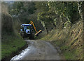 2010 : Verge and hedgerow trimming