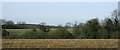 2010 : North from the lane between Slaughterford and Giddeahall