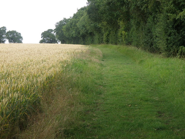 Bridleway beside Upton wood