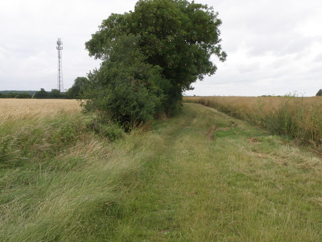 Bridleway near Coppingford Wood