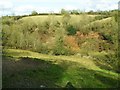 Cargalisgorran Townland