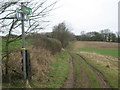 Byway near Little Combe