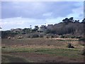 Tresco Abbey