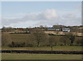 Fields near Rhydlas